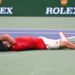 Le Djokovic-show : entre massage et vomissements