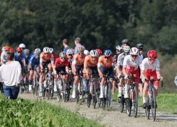 Du camion municipal au plateau TV : la course née d’un enterrement qui refuse de rester modeste